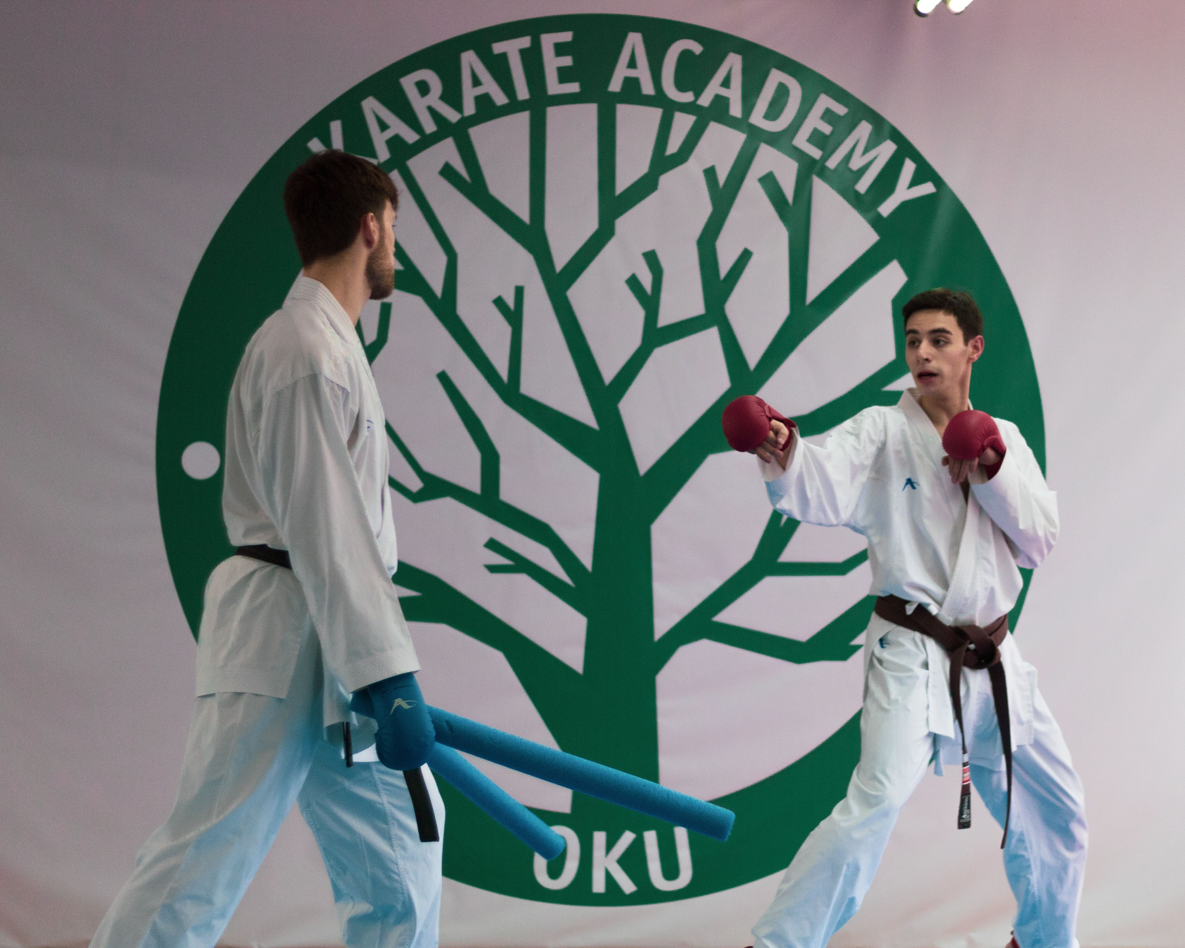 karate berniukams