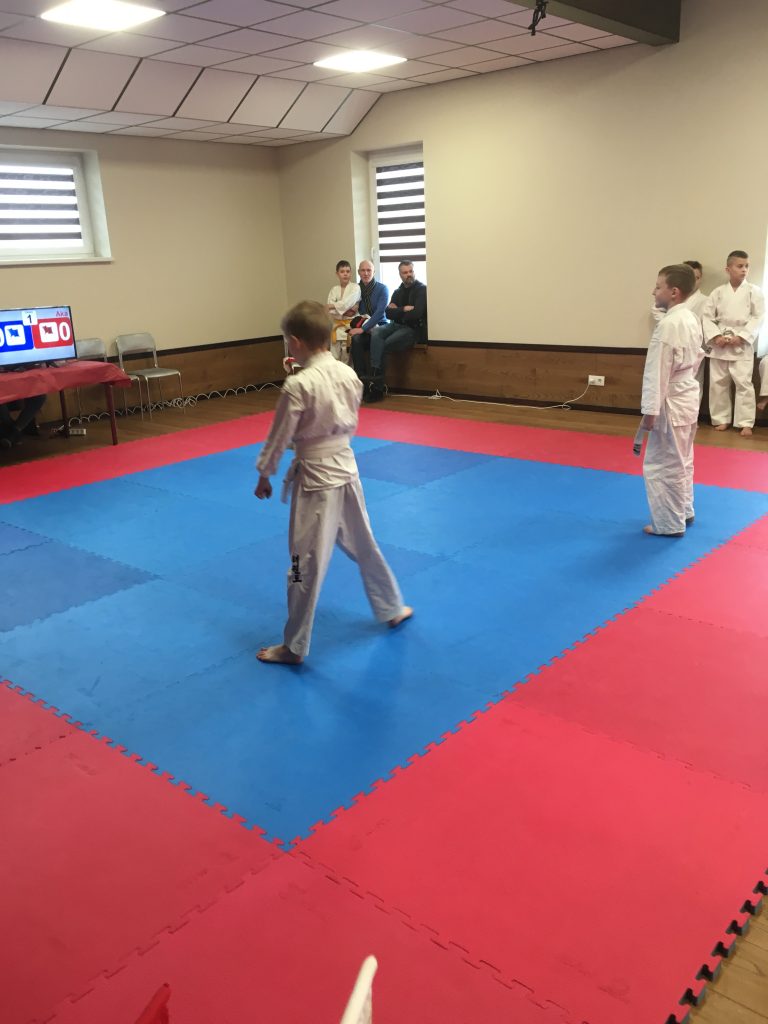 karate kaisiadoryse