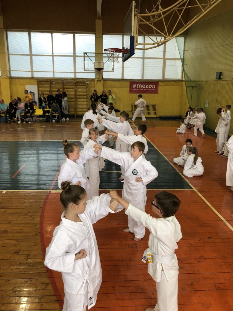 Respublikiniai karate diržų egzaminai 2019