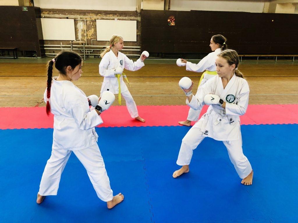 karate sportas